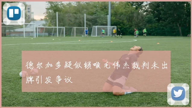 德尔加多疑似锁喉毛伟杰裁判未出牌引发争议