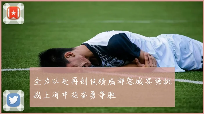 全力以赴再创佳绩成都蓉城客场挑战上海申花奋勇争胜